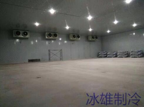 冷庫設(shè)備如何重要，改如何正確的維修呢？